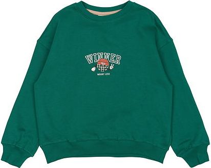 The New Tnpaul Os Sweatshirt - Green - 122/128