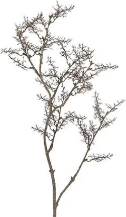 gren u/blade brun h: 75 cm.
