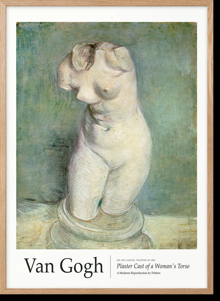 plaster cast of a woman's torso