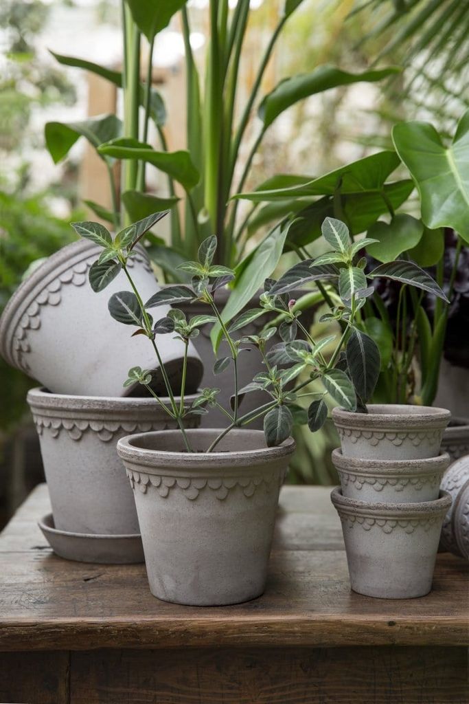 Bergs Potter Københavner RAW Grey, Ø 14 cm, Set Raw Grey Str 14 - Urtepotteskjulere hos Magasin