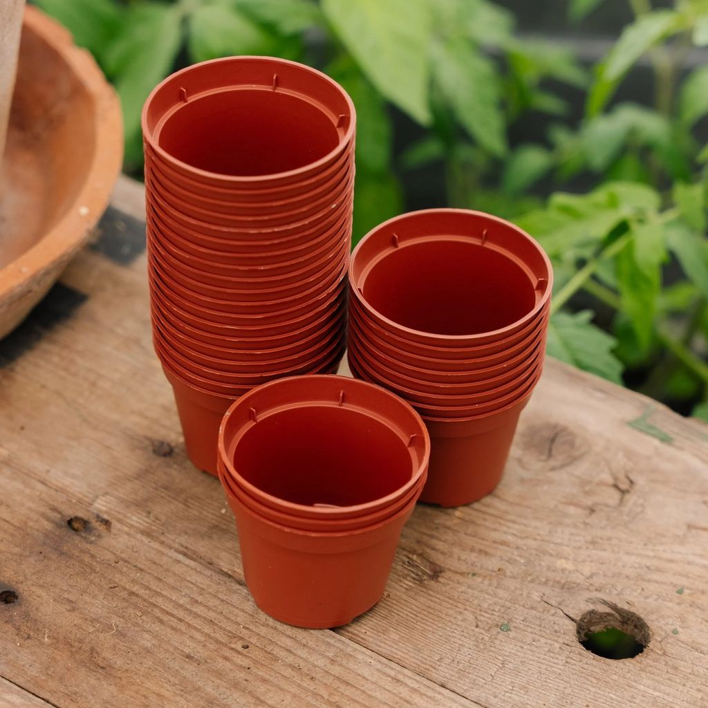 plantepotter 6 cm, 30 stk.