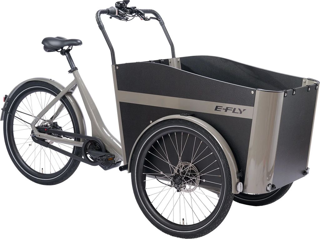 e-fly cargo md earth stone