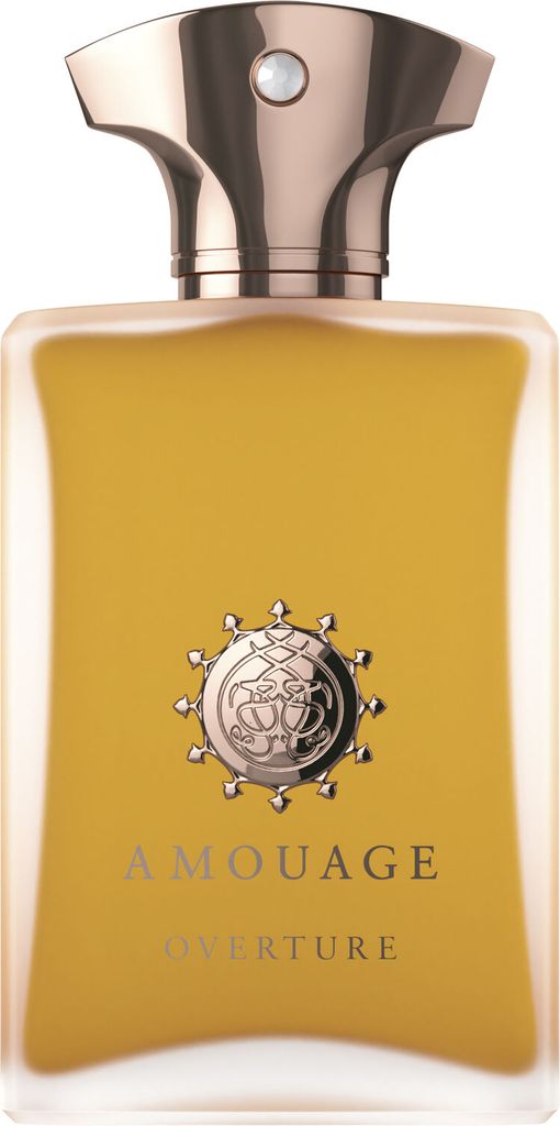 Amouage Amouage Overture MAN EDP 100ml Herreduft 100 ml - Eau De Parfum hos Magasin