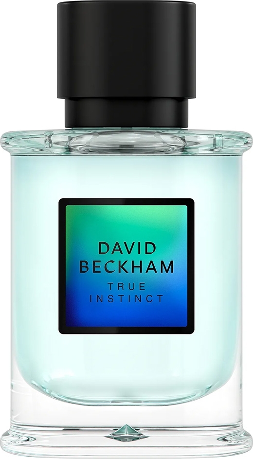 David Beckham True Instinct EDP 50 ml