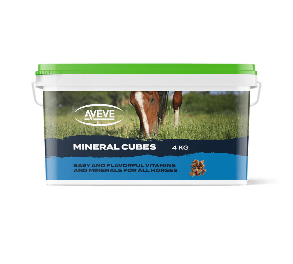 AVEVE Mineral Cubes 4 kg