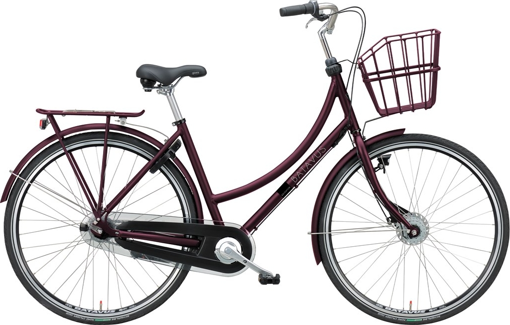 Batavus Brighton