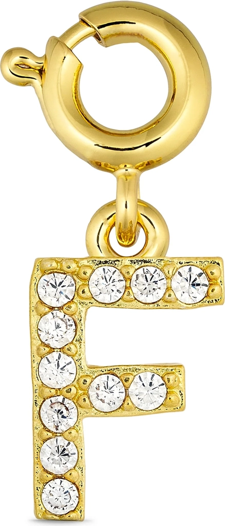 Charms Annebrauner F Charm