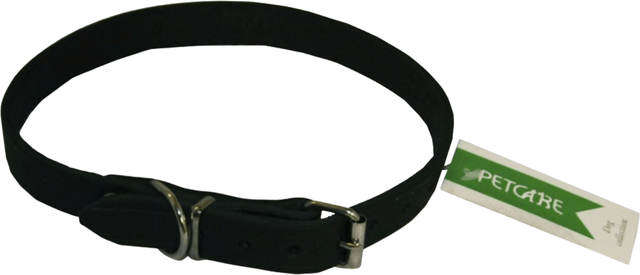 Active Canis Leather Collar
