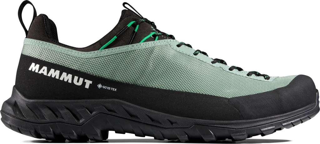 Mammut Alnasca Iv Low Gtx Deep Silver Sage Pinea