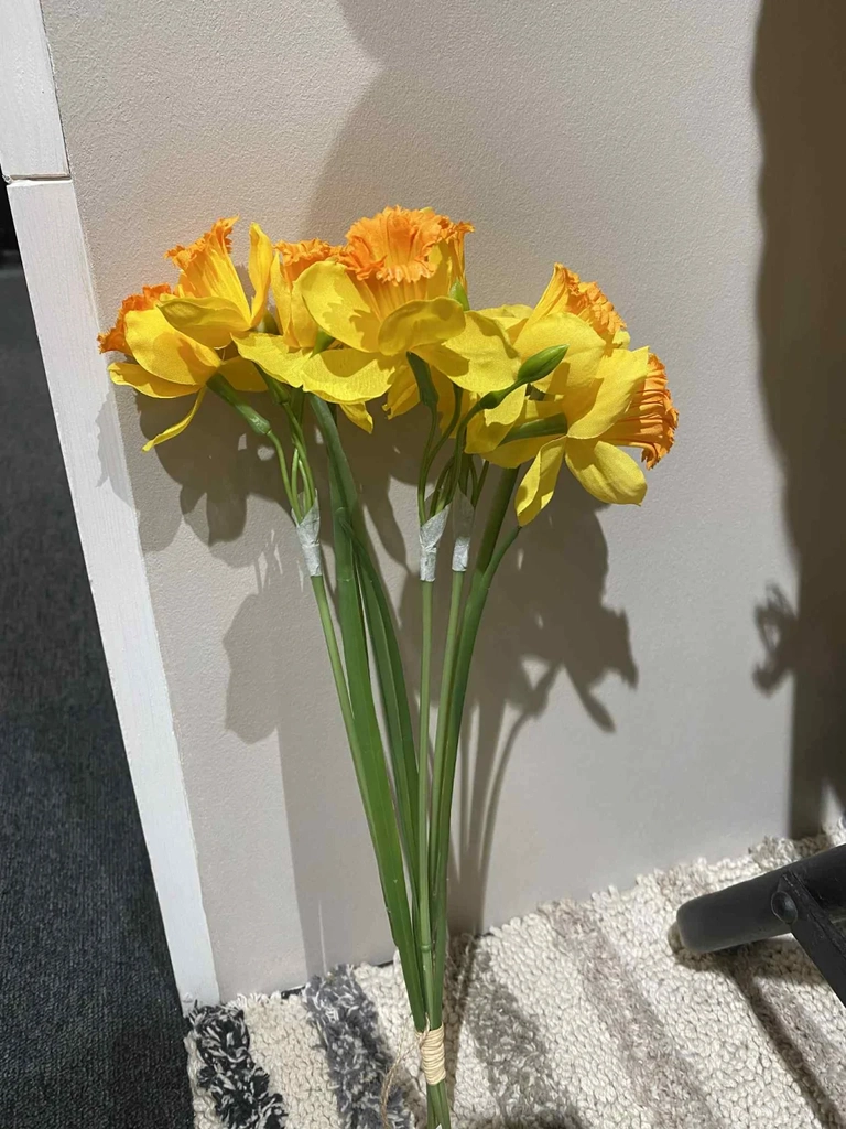 påskelilje bundt m. 3 stk. gul h:41cm.
