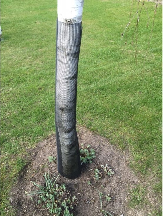 treeflex træbeskyttelsesnet, sort, 150 x 1100 mm, 5 stk.