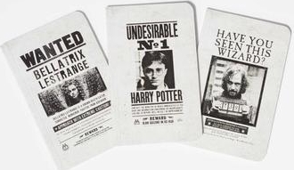 harry potter: wanted posters pocket journal collection