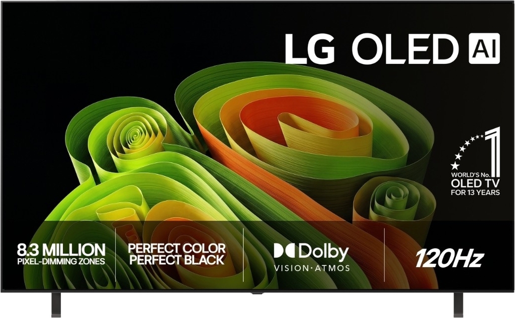 LG 65 OLED B6E 4K TV