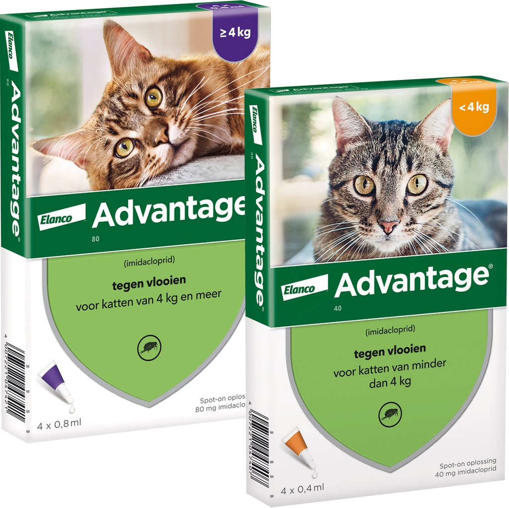 advantage til katte