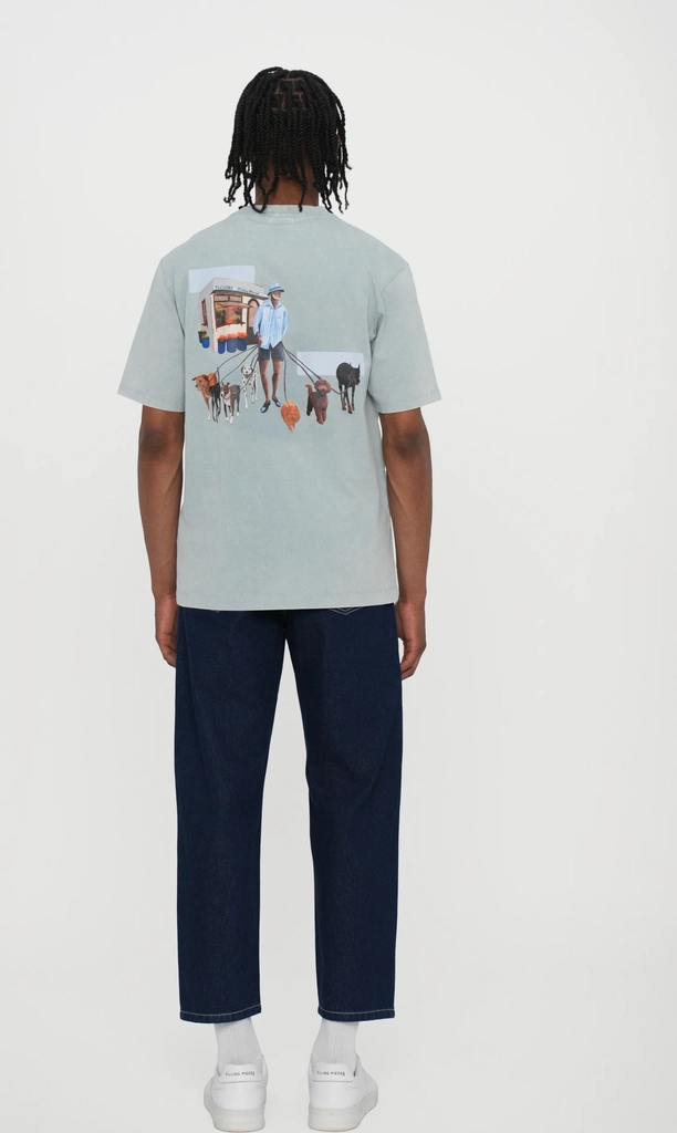 dog walker - t-shirts print - arona