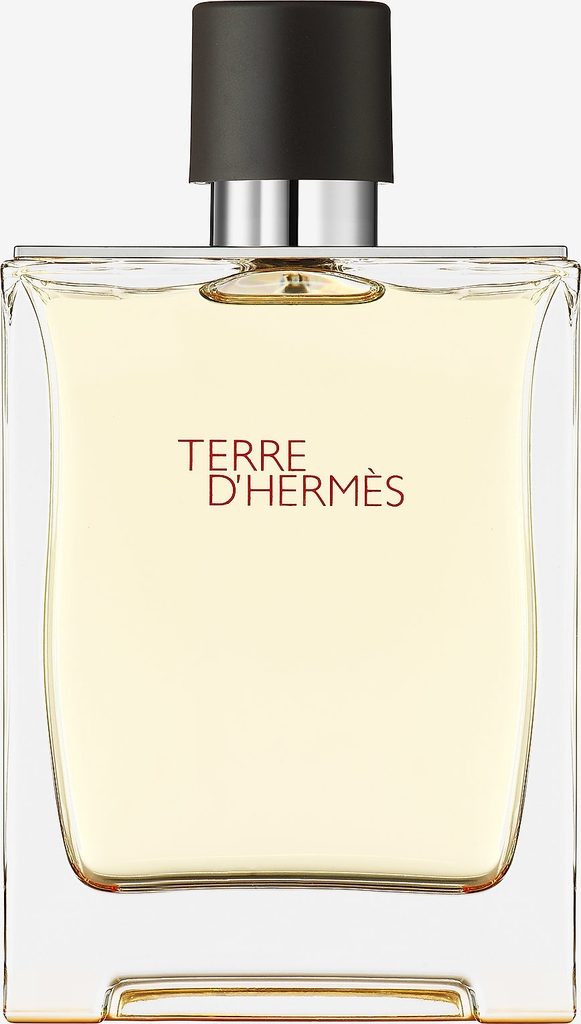 Hermès Terre d'Hermès EdT 100ml