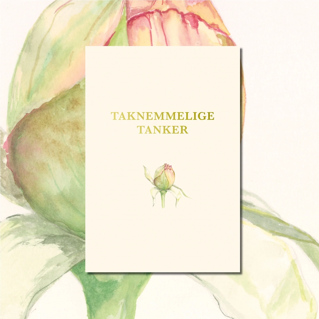 Taknemmelige Tanker Taknemmelighedsdagbog Creme (Indbundet)