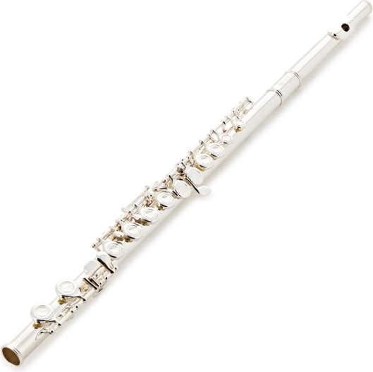 forte fl220 flute outfit