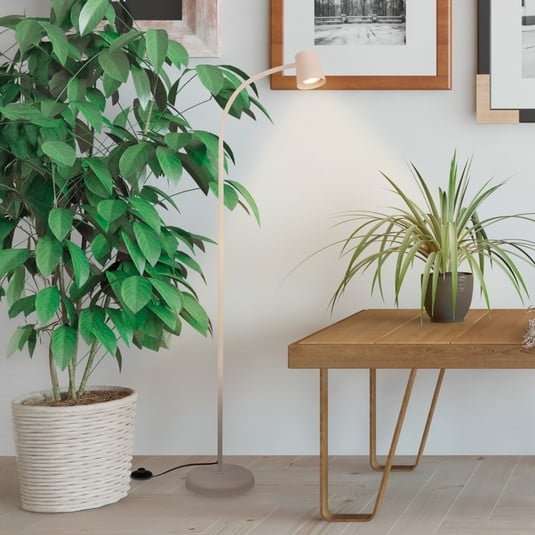 Briloner Skriva Creme Amber Gulvlampe