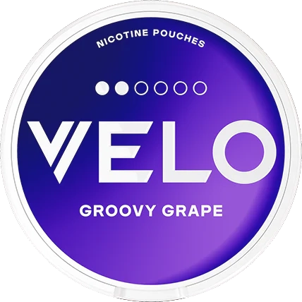 VELO PURPLE/GROOVY GRAPE MINI