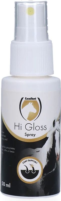 Hi Gloss Spray 250 ml