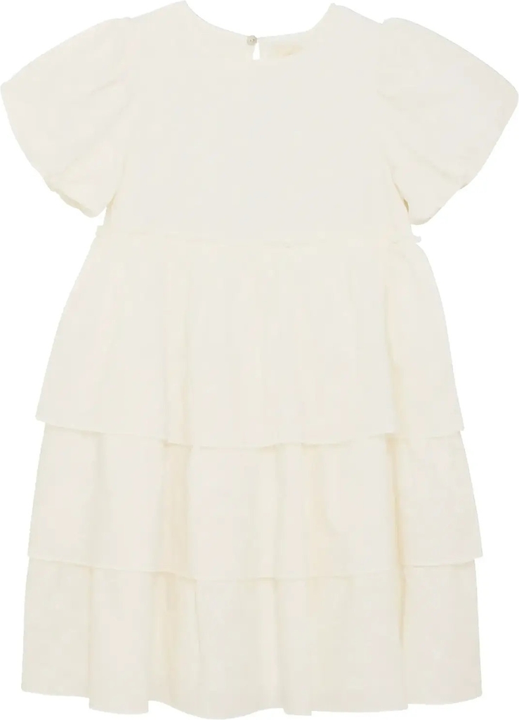 dress embroidery