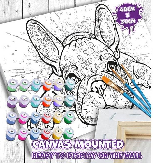 Splat Planet French Bulldog Paint 40x30 cm