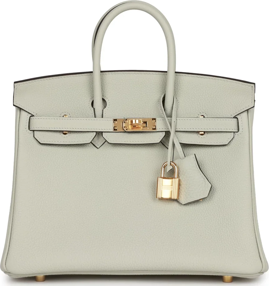 hermes birkin 25 togo gris neve gold hardware