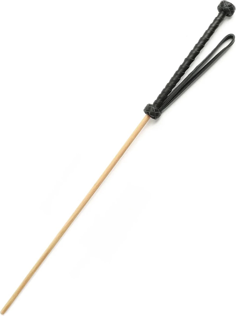 hidden desire - the obedience cane