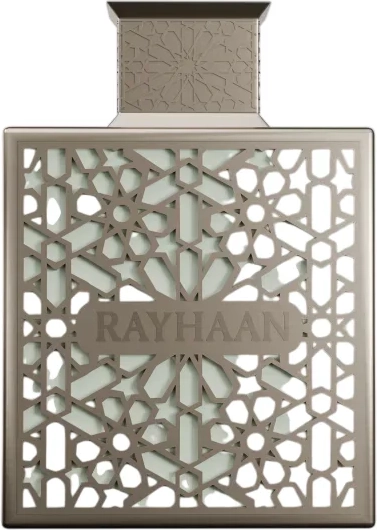 Rayhaan Terra, eau de parfum, per uomo, 100 ml
