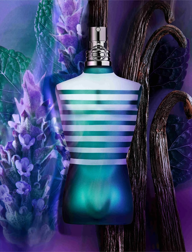le male eau de toilette - eau de toilette