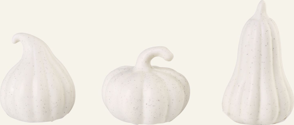 small pumpkins pynt offwhite