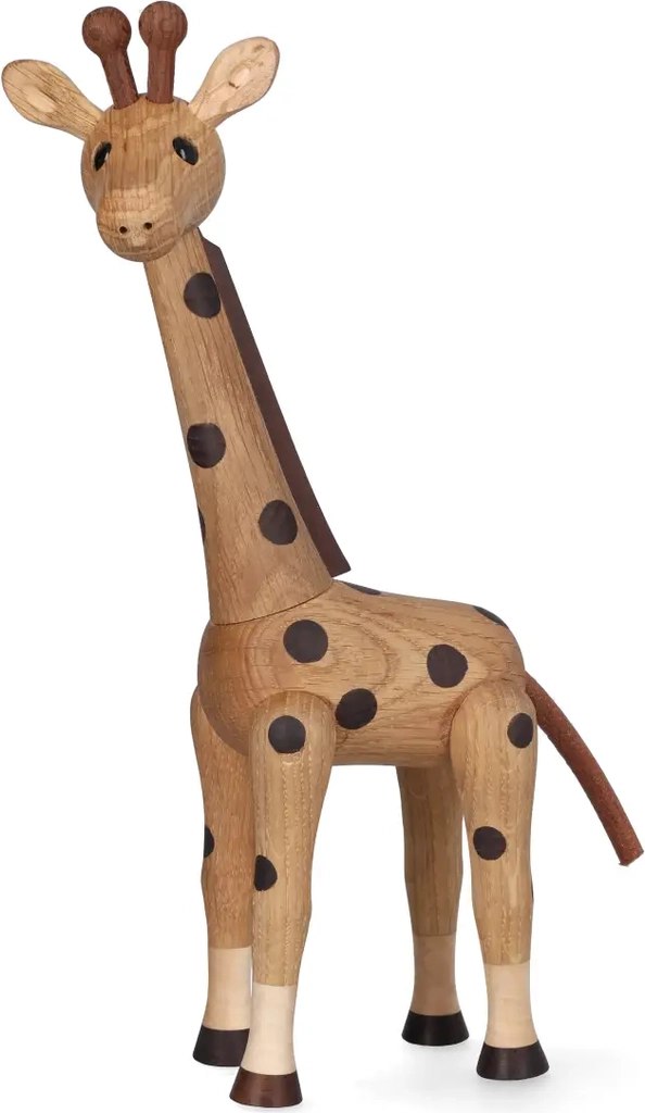 savanna