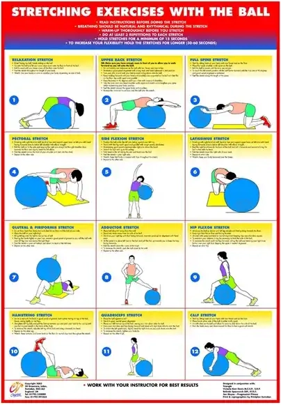 Andet Stretching exercise with ball, plakat med stræk øvelser