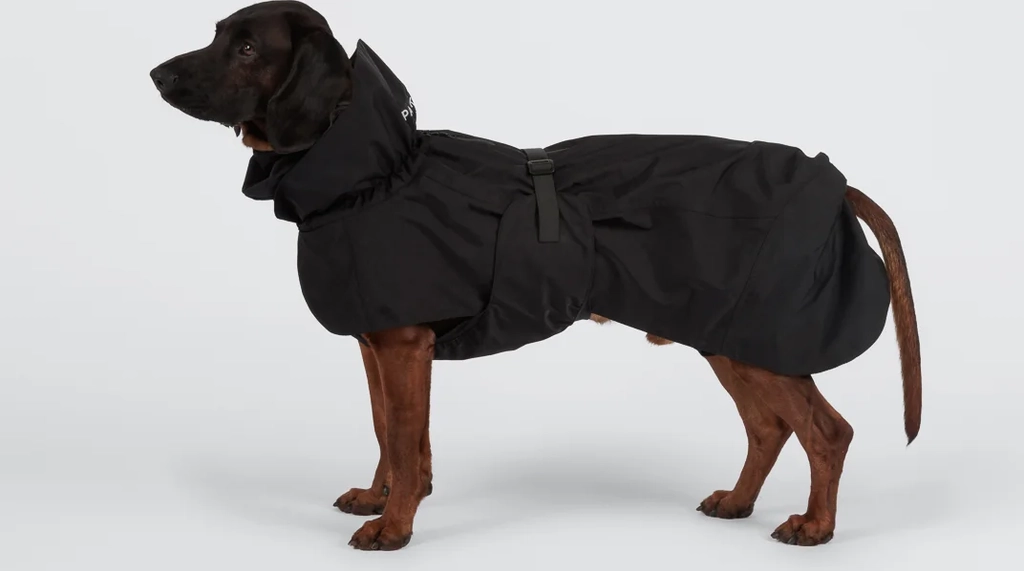 recovery raincoat black new