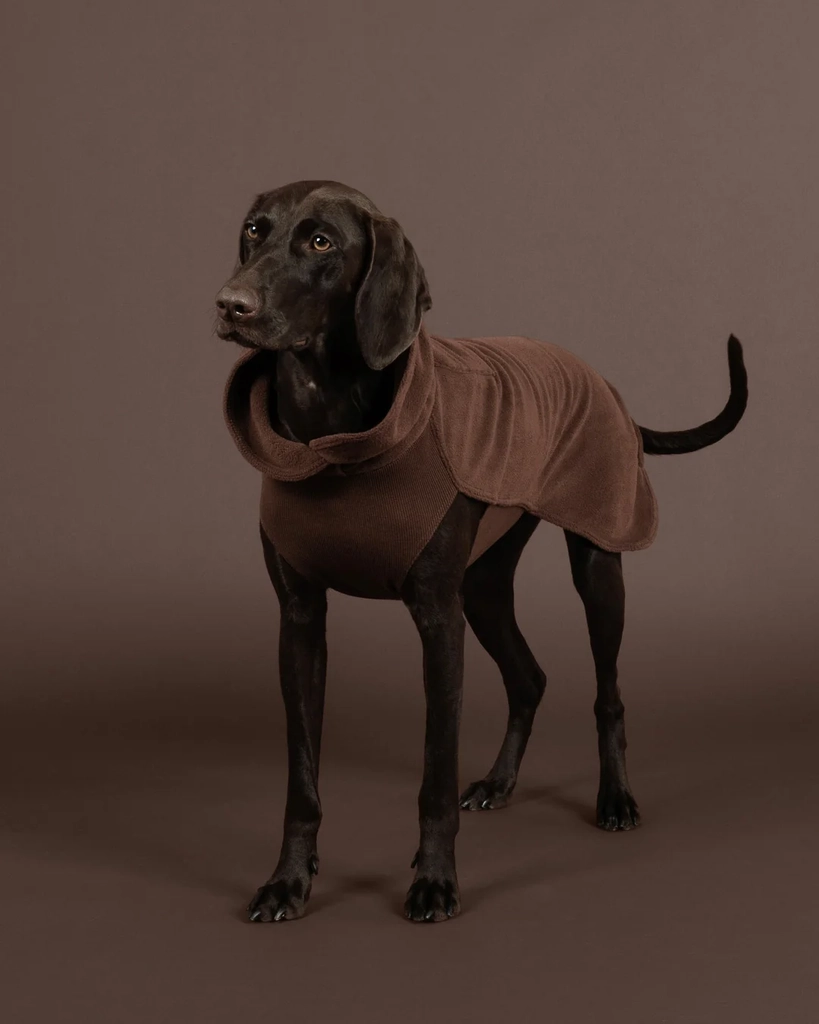 seawool shirt choco new