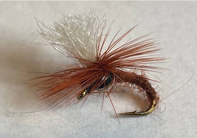 Hurricane Fly Klintehamer Brown