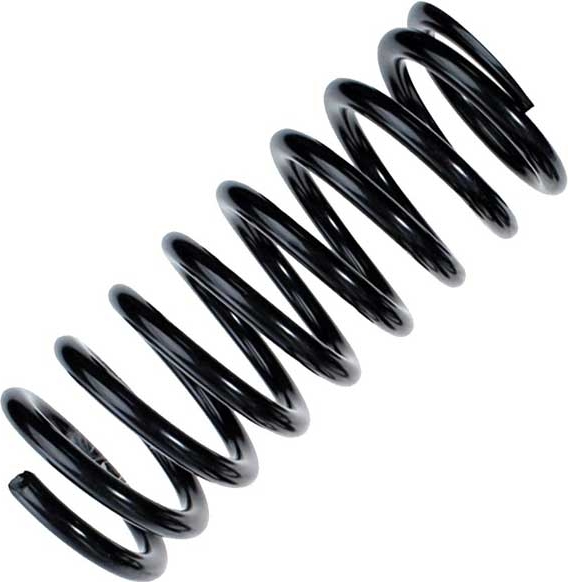 oe replacement spring r23048 rear for bmw