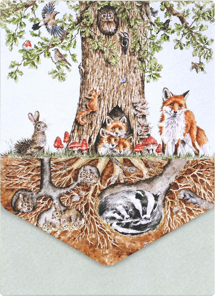 wrendale designs ‘wild woodland’ set of 8 nature notecards