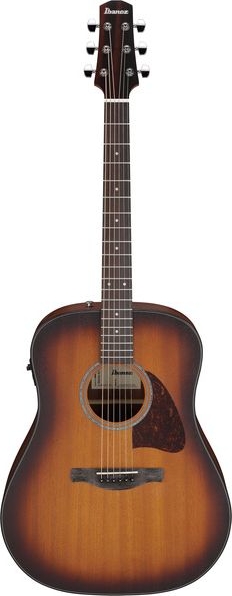 Ibanez AAD54E-OMH