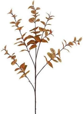 barbara, eucalyptus, brun, h 94 cm