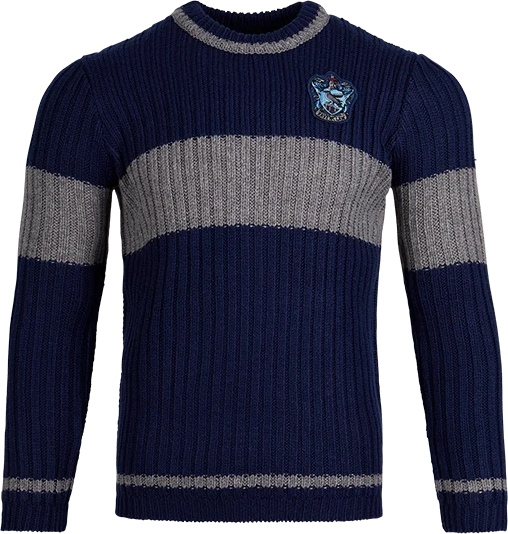 ravenclaw quidditch jumper