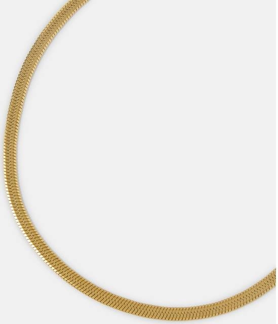 Accessorize Gold Tone Stainless Steel Omega Chain Necklace