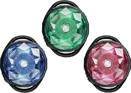dog safety light mini turkis